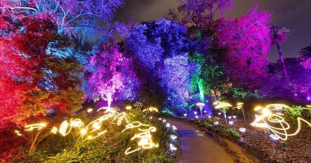 Light garden at Sirromet
