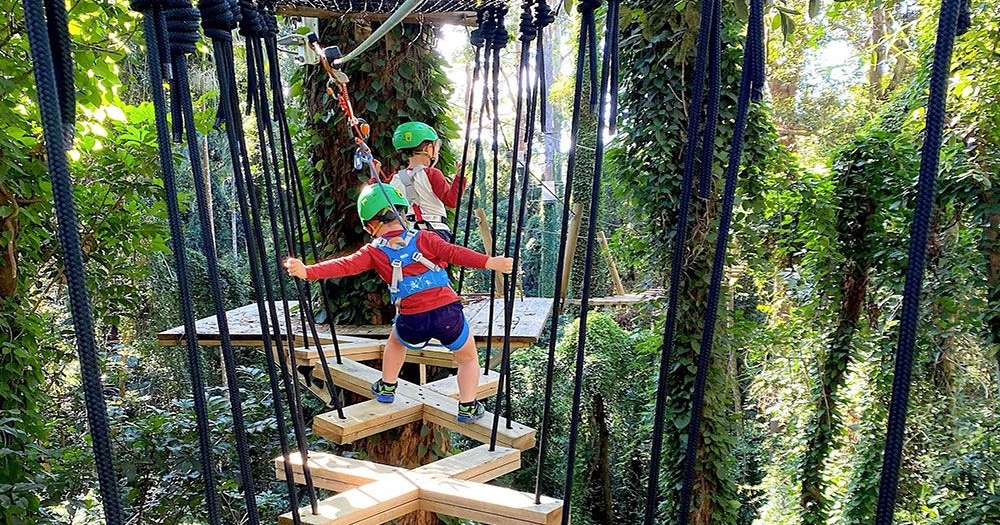 TreeTop Challenge Juniors Zipline Adventure Park, Sunshine Coast 